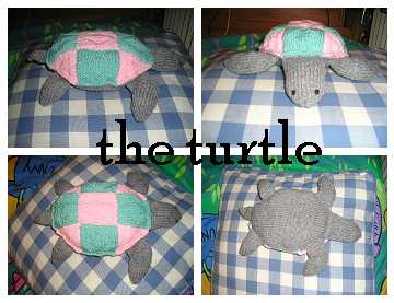 Knitted Turtle Done