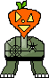 Pumpkin Turtle